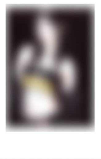 26台历ms拍立得5