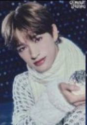 冬日快闪随机卡5 ver.D