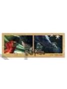 哈利·波特6-movic真人拼接透卡