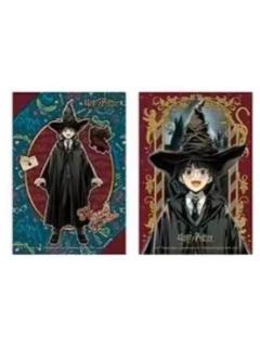 哈利·波特-分院帽相卡