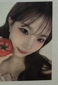 25会员礼拍立得s19