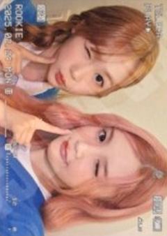 teleca珍稀卡双人卡56