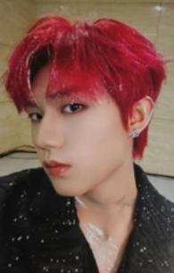 梦始小卡 墨 ver.A