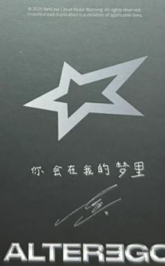 网易云 ver.B-资料图