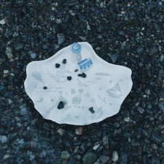 灯塔贝壳托盘-资料图