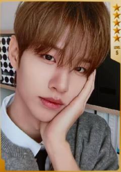 q音星光卡7 五星ver.