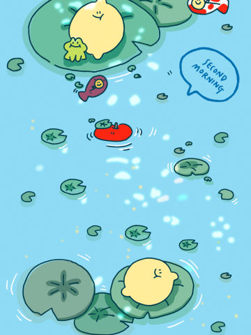 荷塘小憩(全套)