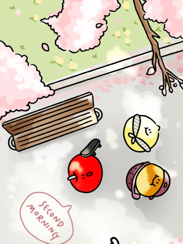 樱花晨间(全套)