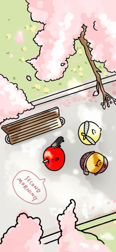 樱花晨间-封面海报