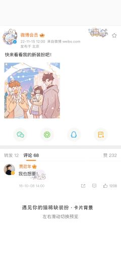 猫猫乐园-卡片背景