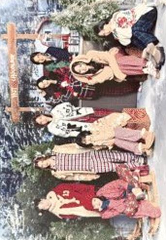 冬日快闪随机卡 团 ver.C