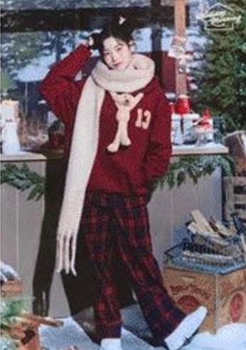 冬日快闪随机卡 豆 ver.B