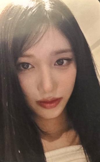 1123东京场限 瑞