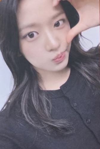 1124大阪场限 安