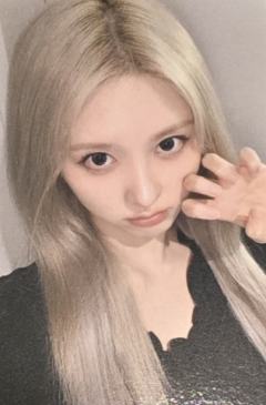 1123东京场限 秋