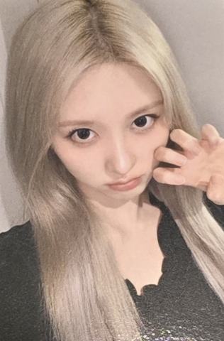 1123东京场限 秋