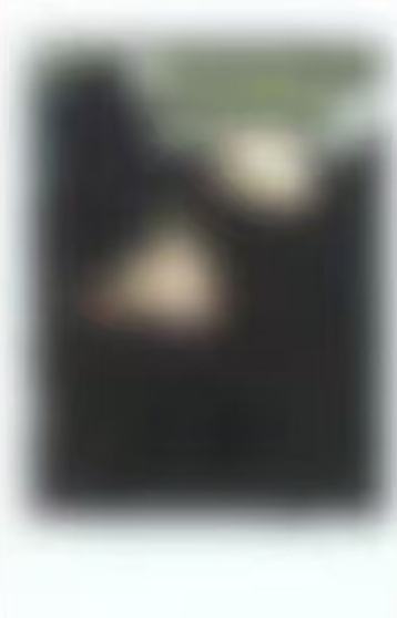 泡泡摩奇预售拍立得 西 ver.D