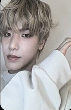 ticket版专卡5 ver.B