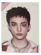 accordion版证件照4