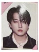 accordion版证件照3