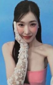 25smt明信片set 帕