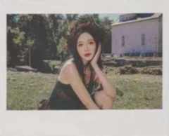 刘增艳 终极殿堂TOP16拍立得