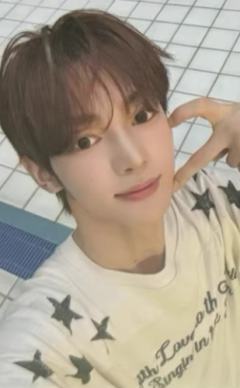 wvs幸运卡2.0 4 ver.B