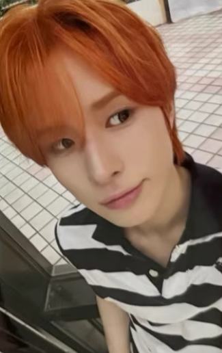 wvs幸运卡2.0 6 ver.B