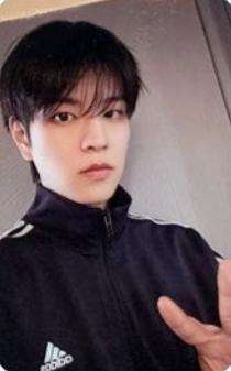 accordion版预售礼7