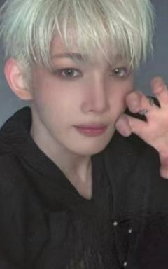 studio choom直播卡6 ver.A