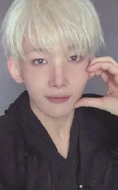 studio choom直播卡6 ver.B