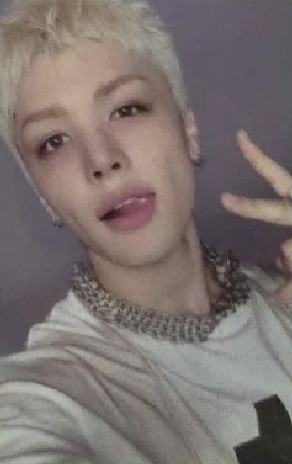 studio choom直播卡9 ver.B