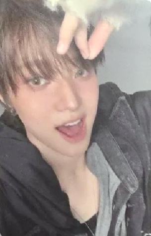 studio choom直播卡4 ver.B