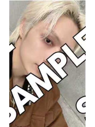 日巡环球场限 俊