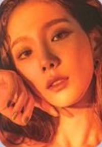 展会小卡set ver.7