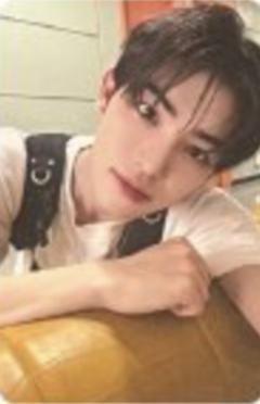 sw签售3.0 5 胳膊枕ver.