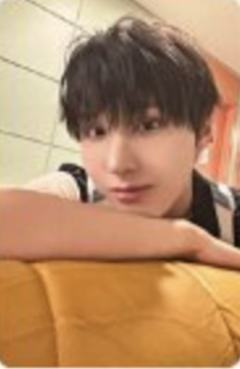 sw签售3.0 4 胳膊枕ver.