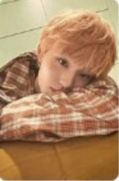 sw签售3.0 6 胳膊枕ver.