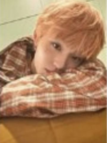 sw签售3.0 6 胳膊枕ver.