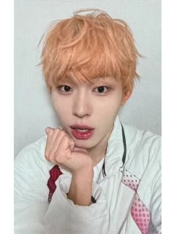 sw签售2.0 6 豆顺尼ver.