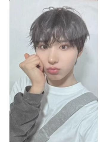 sw签售2.0 4 豆顺尼ver.