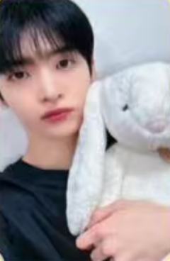 ms上海合影会2 兔子ver.