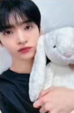 ms上海合影会2 兔子ver.