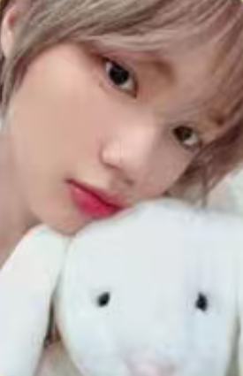 ms上海合影会9 兔子ver.