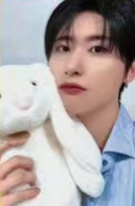 ms上海合影会4 兔子ver.