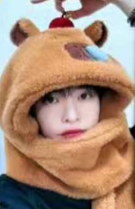 ms上海签售2 卡皮巴拉ver.