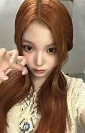 araise签售5.0 7 线下ver.