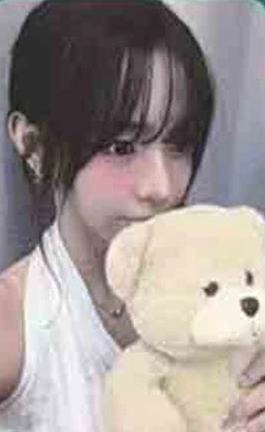 araise签售4.0 8 线上ver.