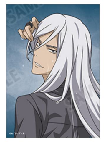 斯贝尔比·斯夸罗A相卡-战斗的背影×雨快闪系列