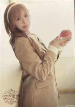 梁娇 金色海岸TOP32标准内封生写 ver.A